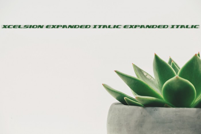 Xcelsion Expanded Italic Expanded Italic Font examples