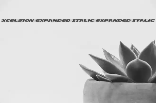 Xcelsion Expanded Italic Expanded Italic Example 3