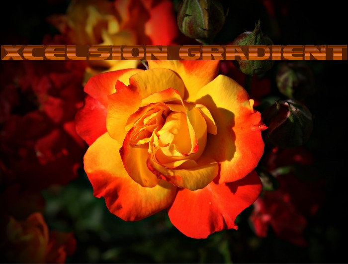Xcelsion Gradient Font examples