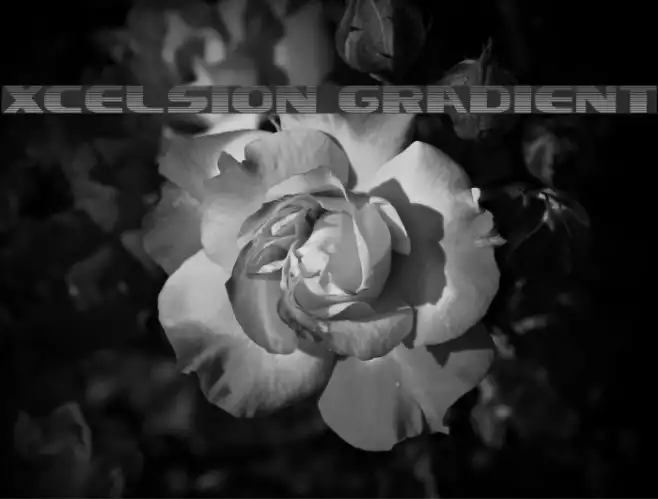 Xcelsion Gradient Example 2