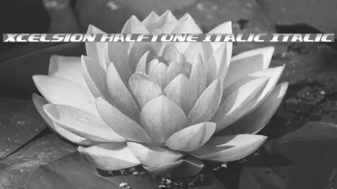 Xcelsion Halftone Italic Italic Font examples