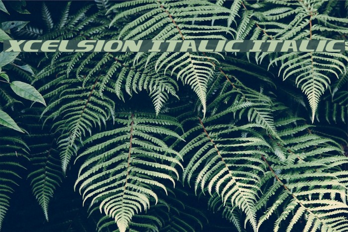 Xcelsion Italic Italic Font examples