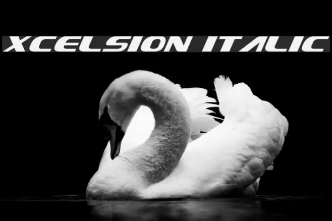 Xcelsion Italic Font examples