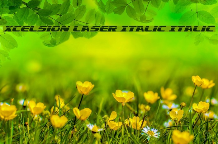 Xcelsion Laser Italic Italic Font examples