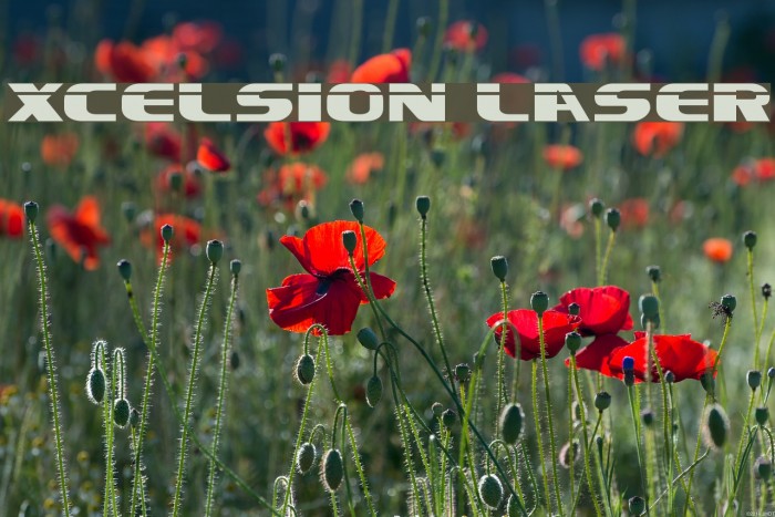 Xcelsion Laser Example 1