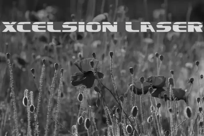 Xcelsion Laser Font examples