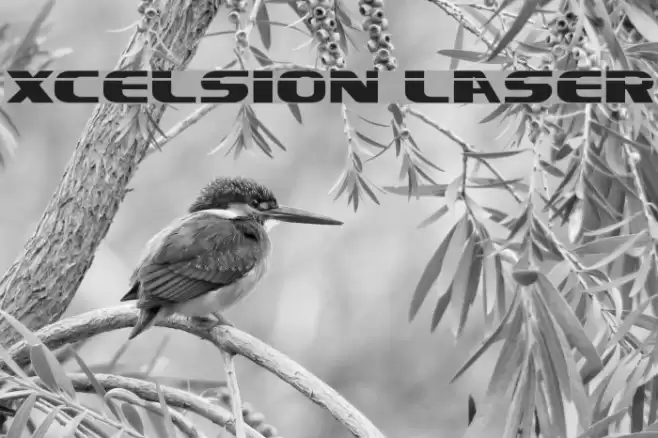 Xcelsion Laser Font examples