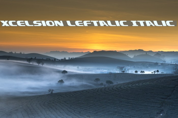 Xcelsion Leftalic Italic Font examples
