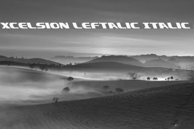 Xcelsion Leftalic Italic Example 1