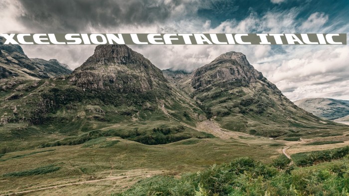 Xcelsion Leftalic Italic Font examples