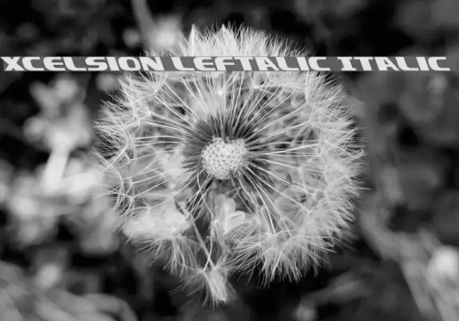 Xcelsion Leftalic Italic Example 3