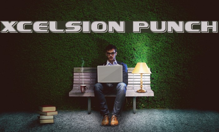 Xcelsion Punch Example 1