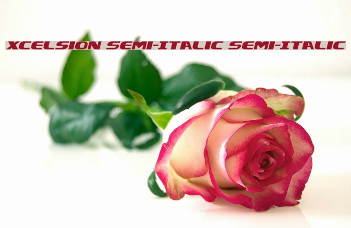 Xcelsion Semi-Italic Semi-Italic Font examples