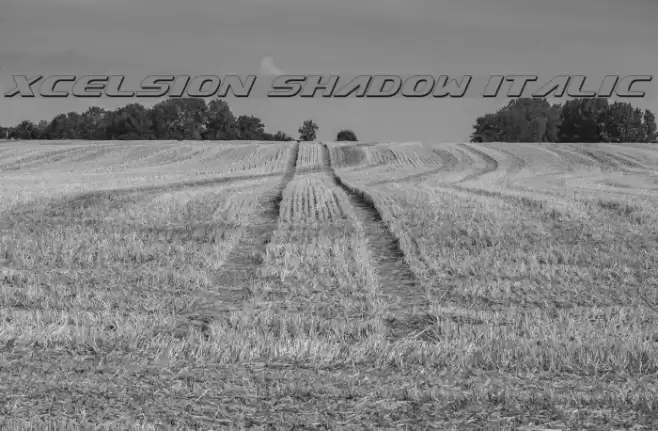 Xcelsion Shadow Italic Шрифта examples