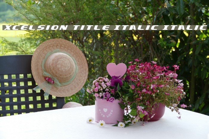 Xcelsion Title Italic Italic Font examples