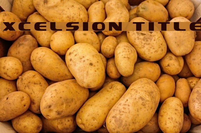 Xcelsion Title Example 1