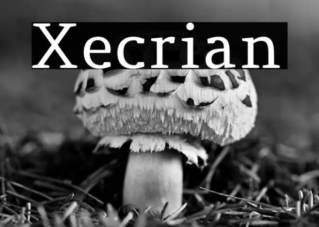 Xecrian Font examples