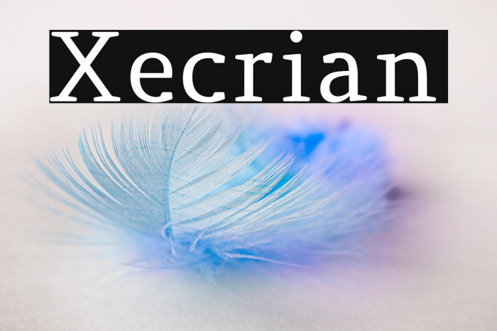 Xecrian Example 3