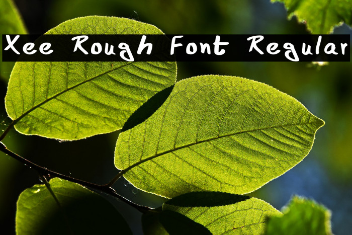 Xee Rough Font Regular Font examples