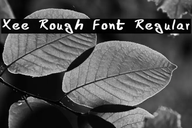 Xee Rough Font Regular Example 1