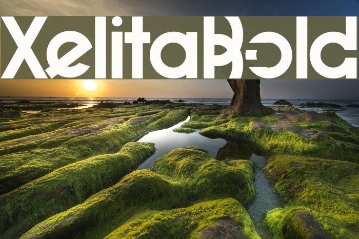 XelitaBold Font examples