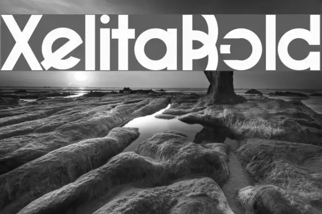 XelitaBold Example 2