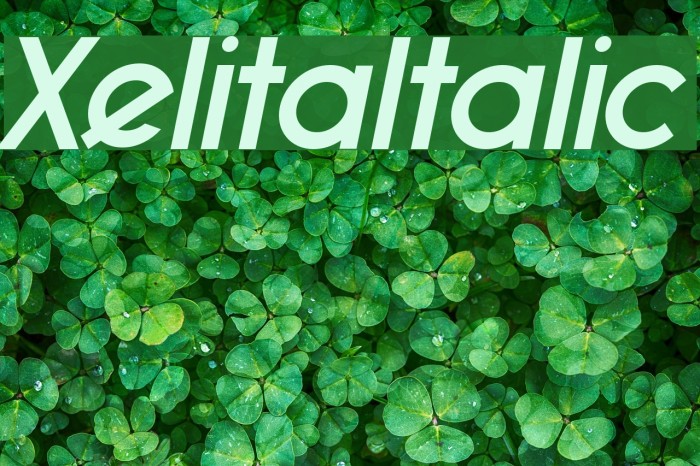 XelitaItalic Example 2