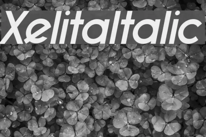 XelitaItalic Font examples