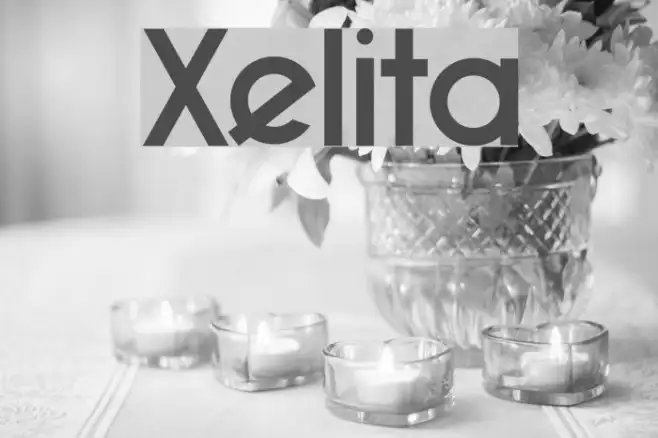Xelita Example 2