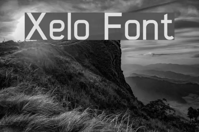 Xelo Example 1