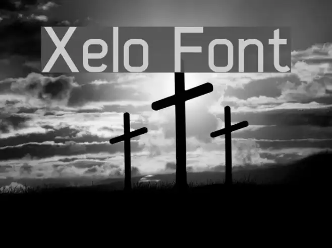 Xelo Example 2