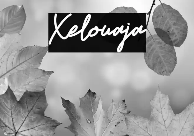 Xelouaja Example 2