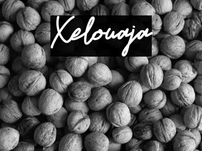Xelouaja Example 3