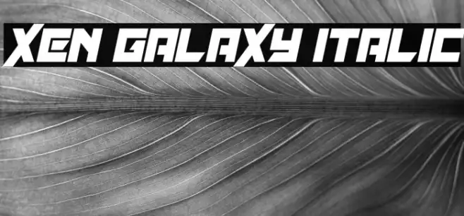 Xen Galaxy Italic Example 1