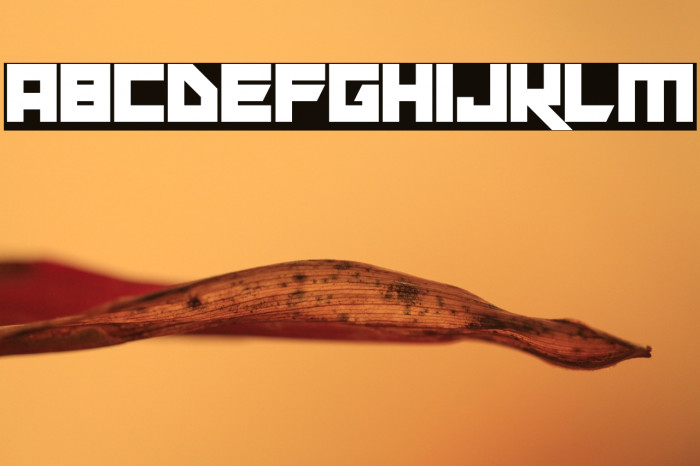 Xen Galaxy Example 2