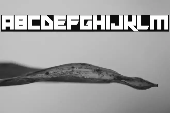 Xen Galaxy Example 2