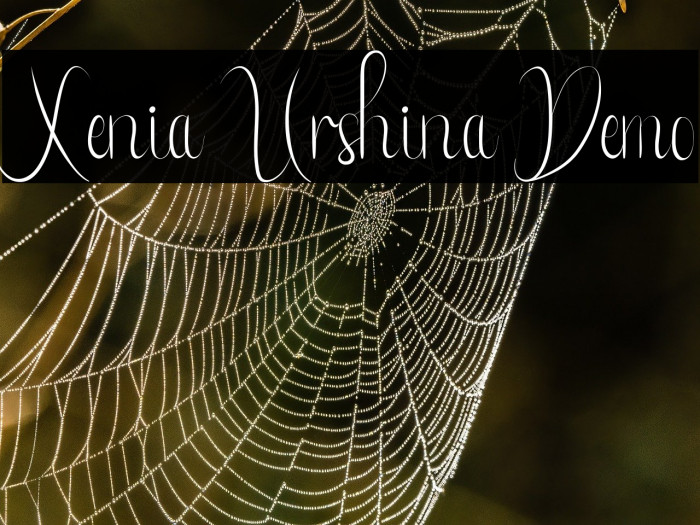 Xenia Urshina Demo Example 1