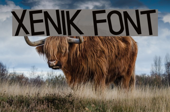 Xenik Font examples