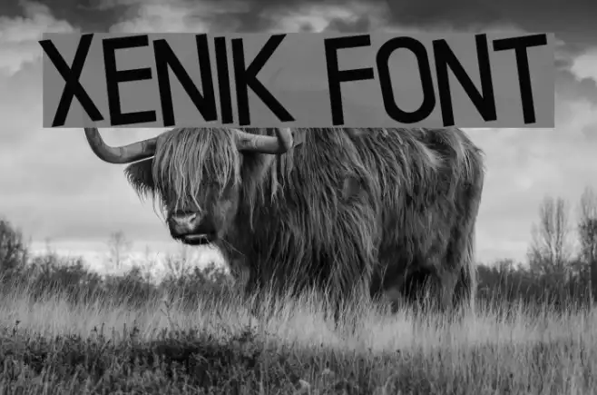 Xenik Example 1