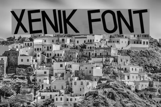 Xenik Example 2