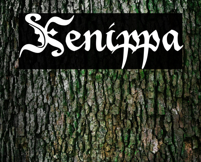 Xenippa Font examples