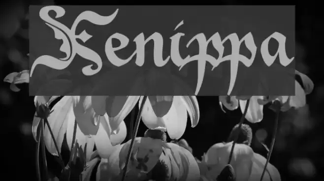 Xenippa Font examples