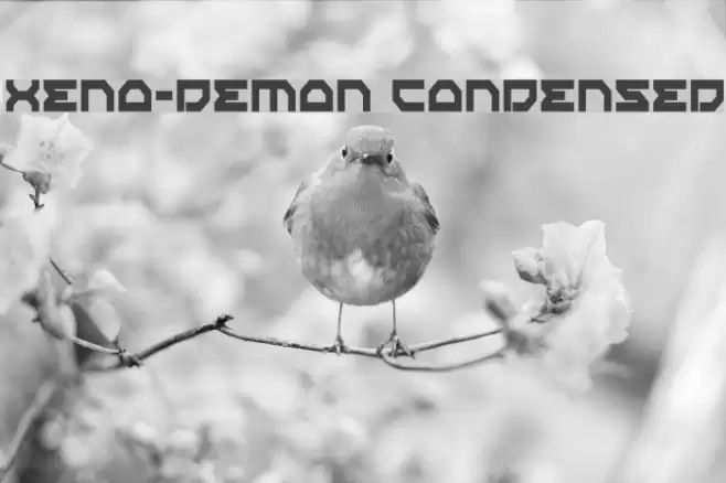 Xeno-Demon Condensed Font examples