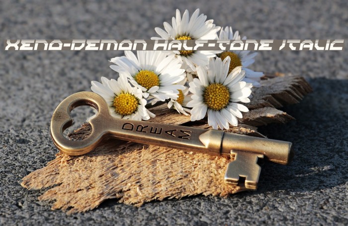 Xeno-Demon Half-Tone Italic Example 2