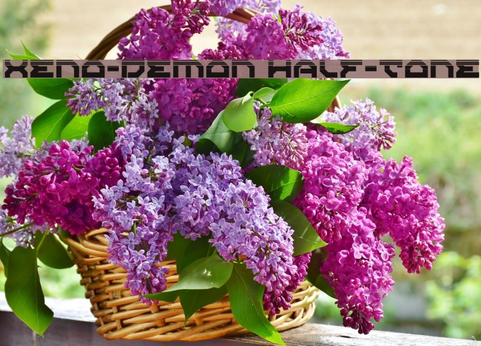 Xeno-Demon Half-Tone Example 1