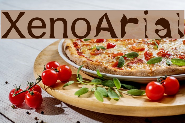 XenoArial Example 1