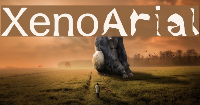 XenoArial Example 2