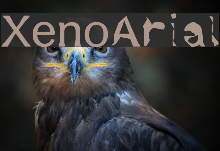 XenoArial Example 3