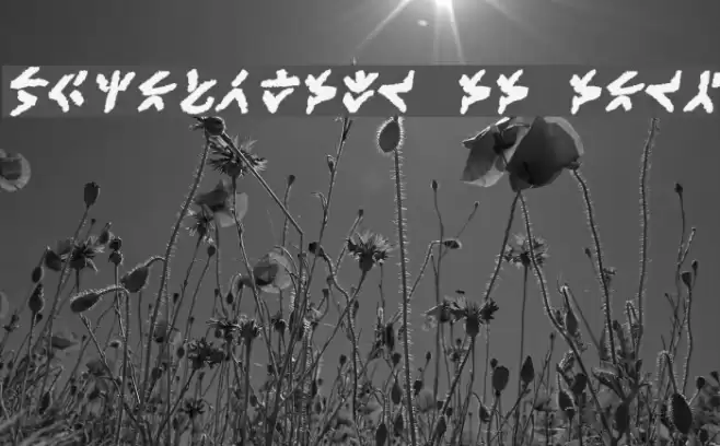 XenoTribal BB Bold Font examples