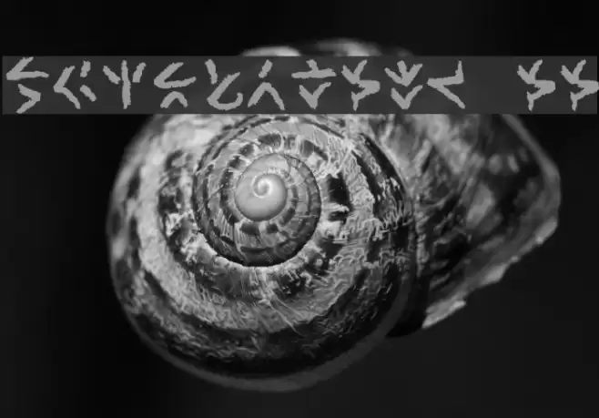 XenoTribal BB Font examples